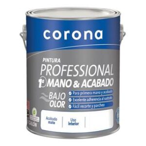 Pintura Professional 1A Mano 5 Gal
